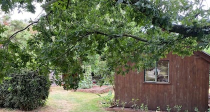 Orchard Cabin Herefordshire Wye Valley