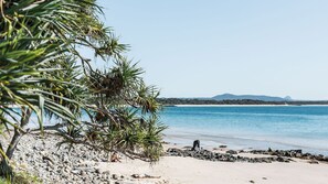 Beach - Noosa Parade Apartment - stylish privacy in paradise - private pool, location, beach (Noosa Sound)