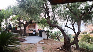 A patio area with a stone pathway leading to a seating area with a table and chairs, surrounded by olive trees and cacti. - Spisidda House - Lipari Studio - Near Gioiosa Marea (Zappardino)