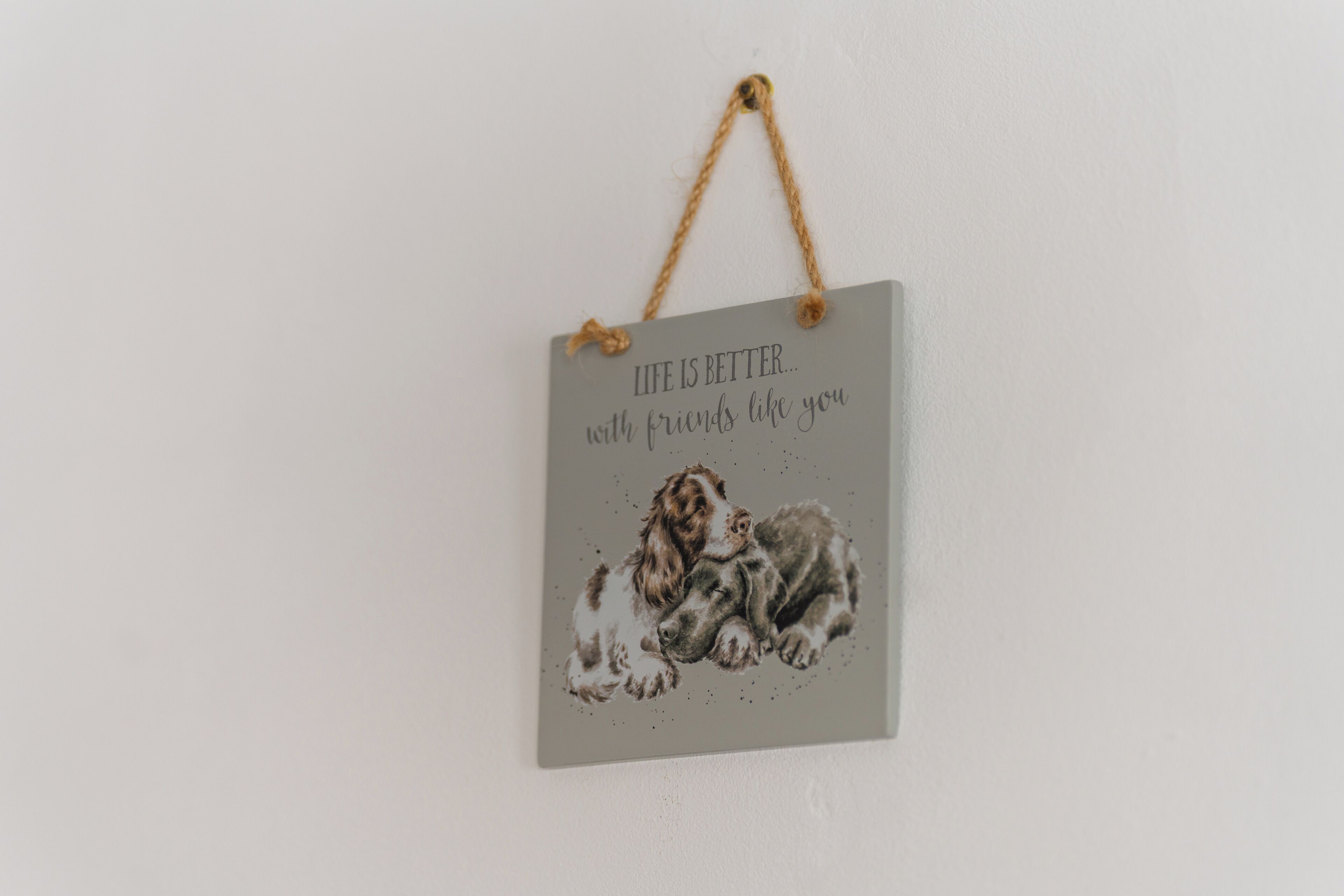 Un tapiz con una ilustración de un perro y el texto "Life is better with friends like you".