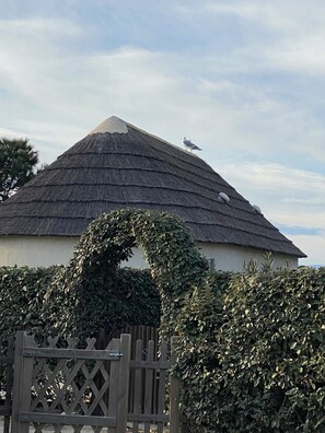 A house with a thatched roof, a wooden fence, and a hedge. - Fisherman's Island Mas (Le Barcarès)