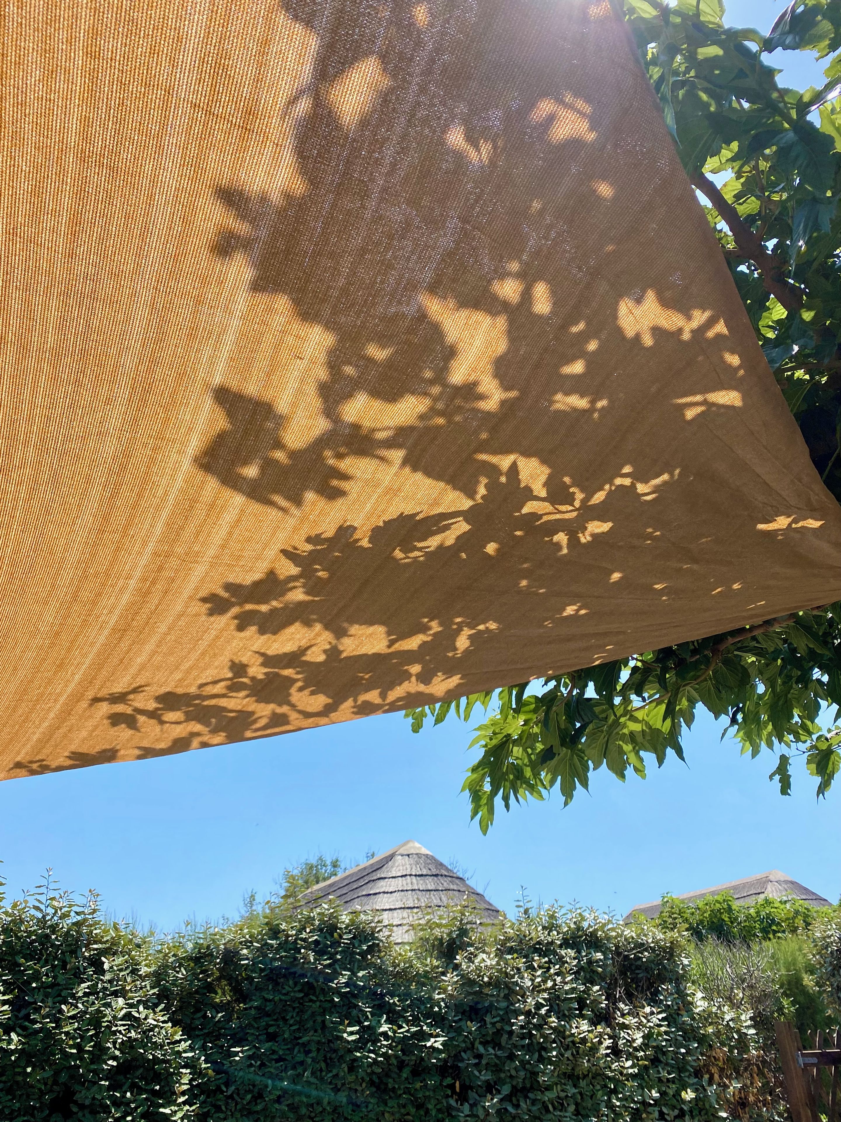 Cielo despejado con una estructura de techo cónico, rodeada de vegetación densa.