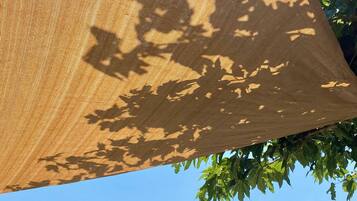 Cielo despejado con una estructura de techo cónico, rodeada de vegetación densa.