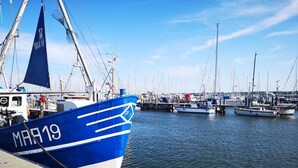 A marina with boats docked, including a prominent blue boat with 'MAA19' on its side. - Apartment "PASTORATSGARTEN SCHLEI": Relax and enjoy (Norderbrarup)