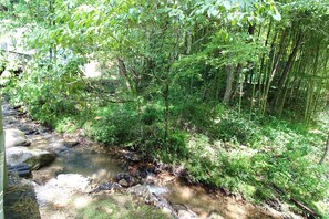 Miscellaneous - Sweet Retreat Creekside Cottage in Bryson City! (Bryson City)