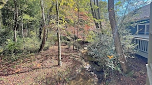 A forested area with a small stream, surrounded by trees with autumn foliage. - Cuddle Cove Modern, Creekside Home right by the Heart of Bryson City (Bryson City)