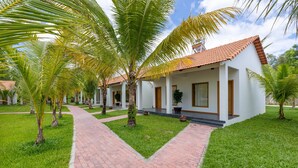 Ảnh chưa phân loại, 3 trong số 67 ảnh, nút