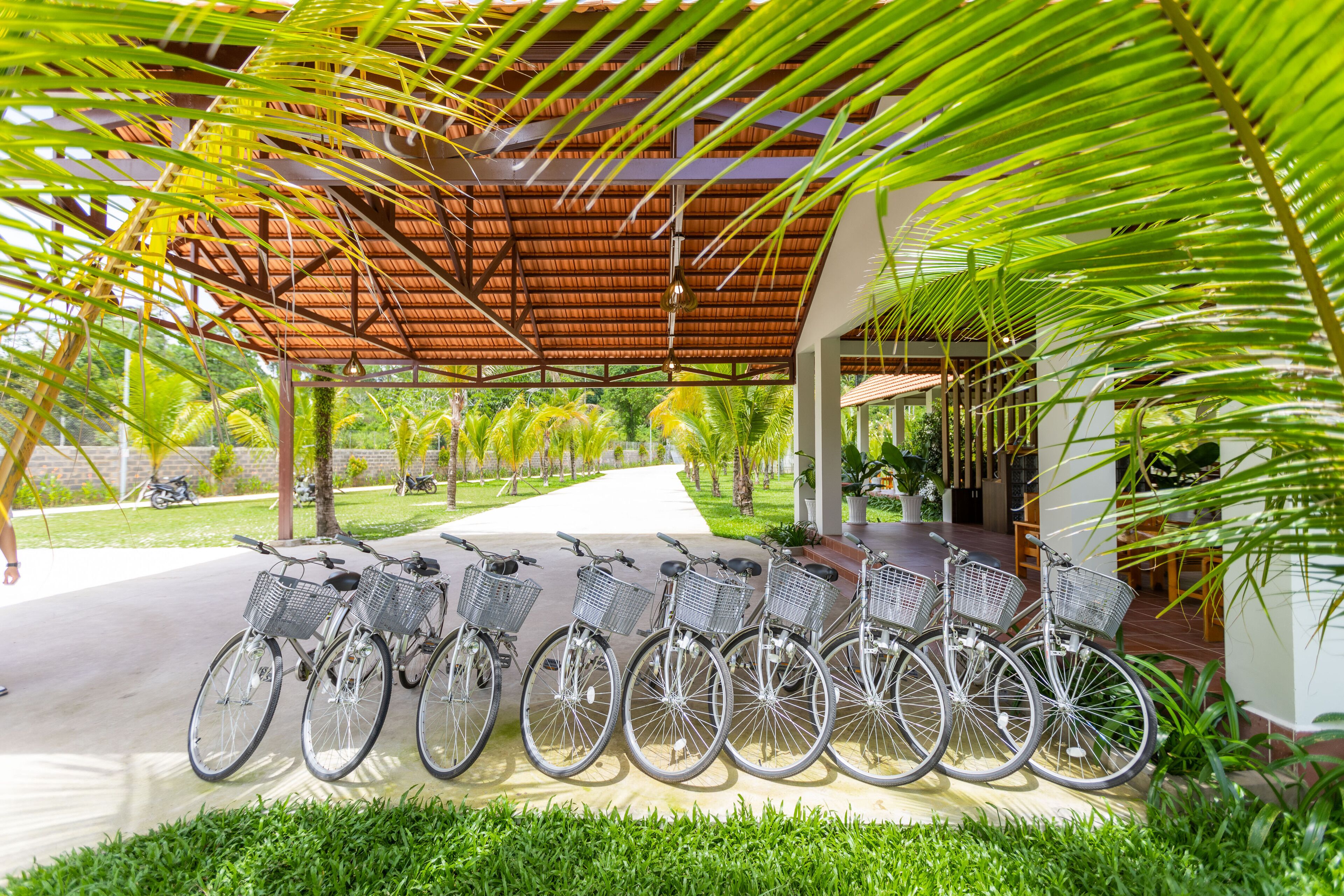 A covered outdoor area with a row of bicycles parked under a wooden roof.