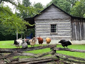 Enceinte de l’hébergement