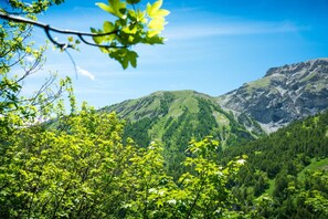 Eine gebirgige Landschaft mit dichten, grünen Wäldern und felsigem Gelände.