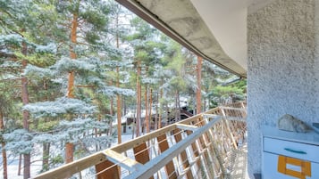 Appartamento familiare, camere multiple (La Tana dello Scoiattolo (Skiing) | Balcone