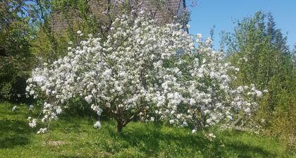 Nature House. Great for the family