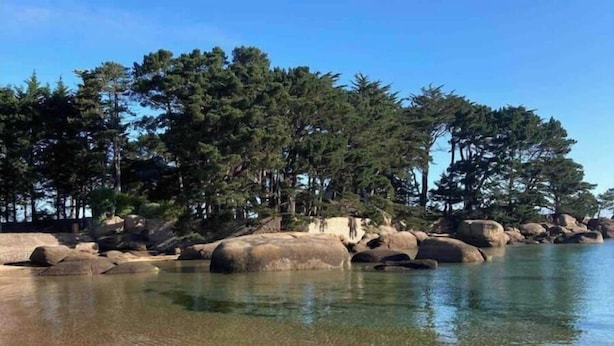 Ein Strand mit klarem Wasser, großen Felsen und dichter Vegetation.