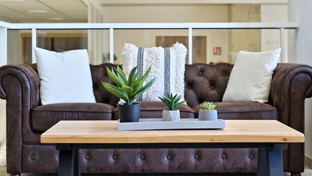 Un canapé en cuir marron agrémenté de coussins blancs et à motifs, une table en bois et trois plantes en pot.