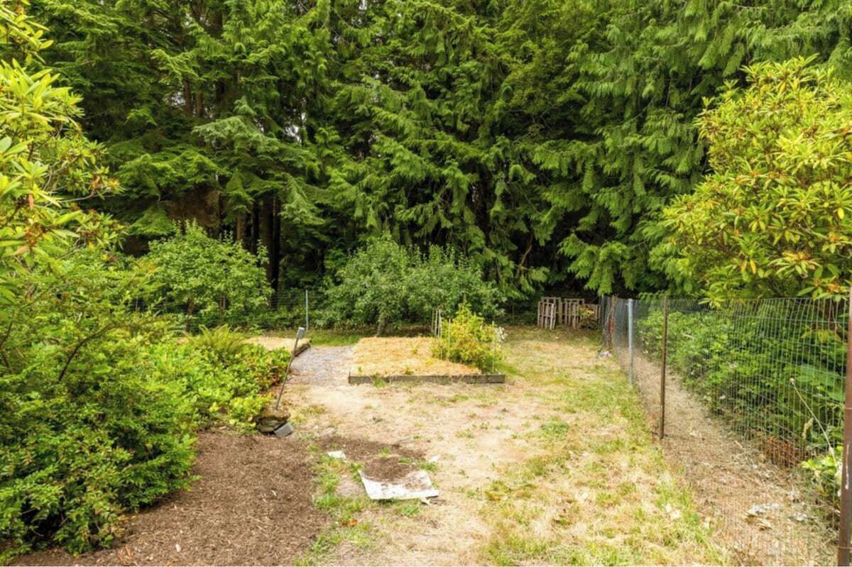 A garden with dense trees, a dirt path, and a fenced area.