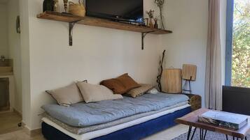 TV, computer monitors