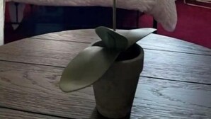 A hotel room with a bed, a bedside table with a potted orchid, and a pillow with the word "cuddle". - ❤DT Victorian Apt D❤ 1br~Walk to DT/APSU~Firepit❤ (Clarksville)