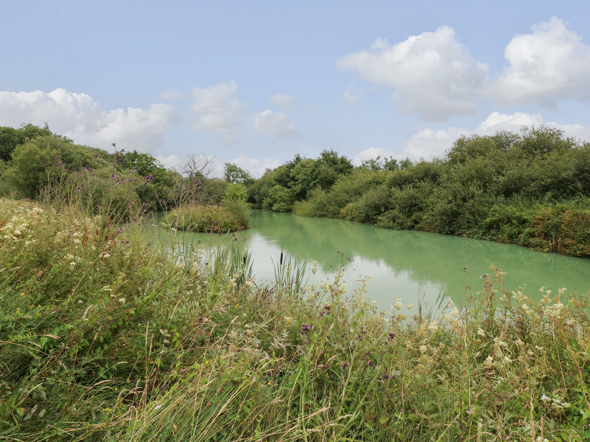 A natural landscape with a calm body of water, surrounded by dense greenery and trees.