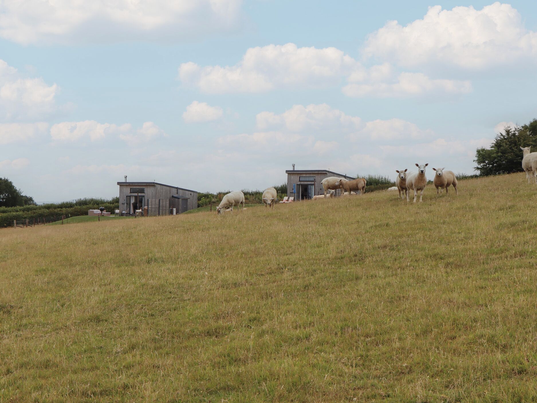 A rural landscape with a grassy field, a small wooden building, and a larger structure with a sloped roof.