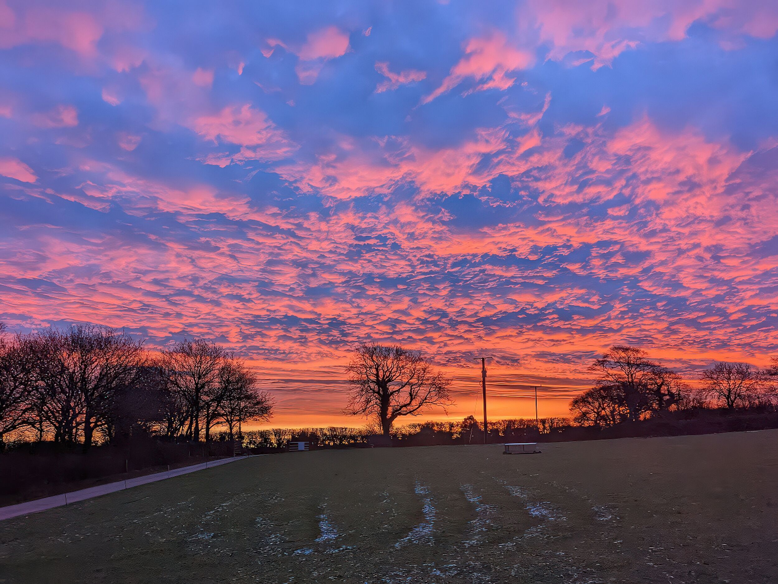A field with a sunset sky.
