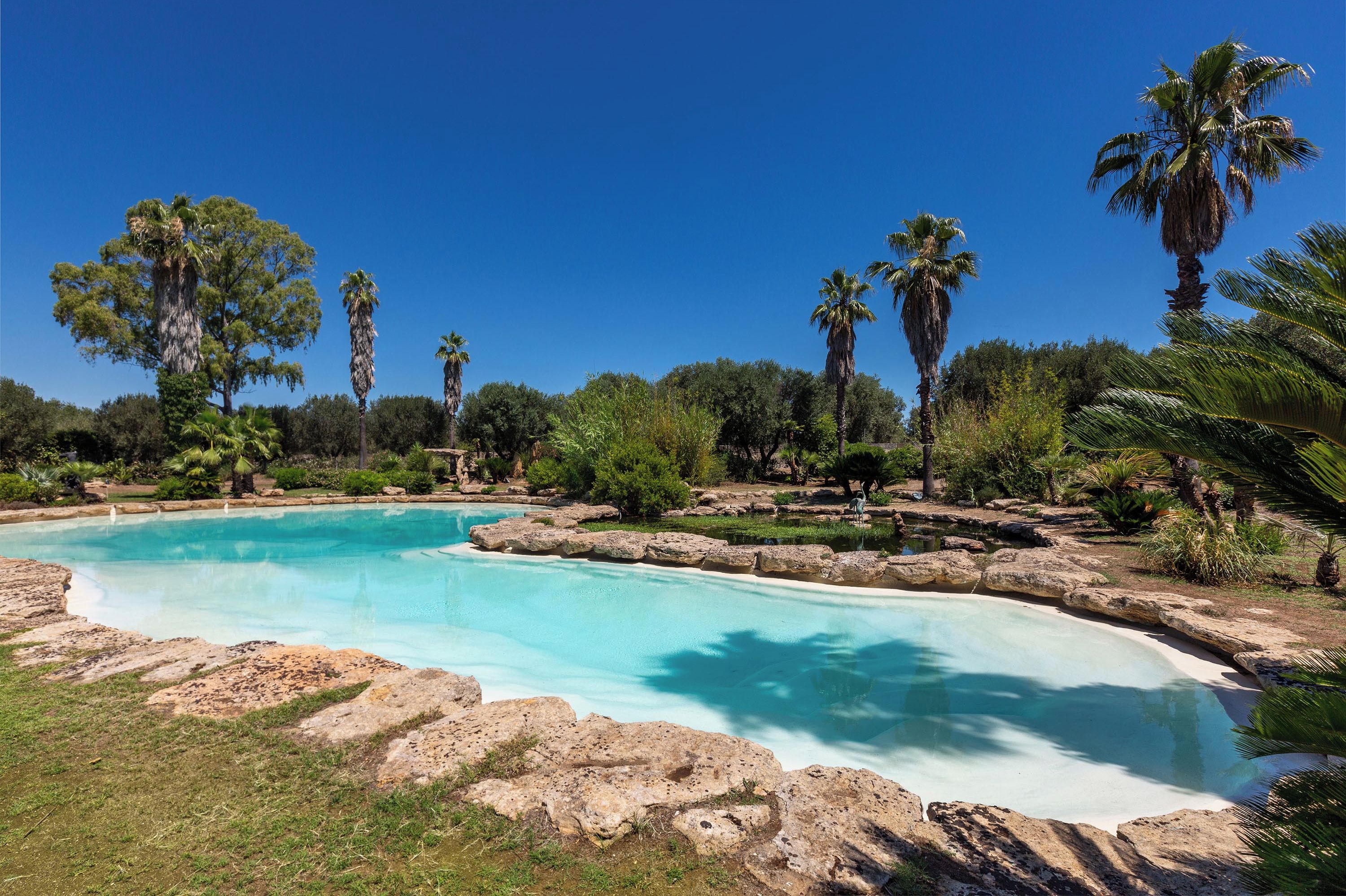 A clear blue pool surrounded by rocks and palm trees.