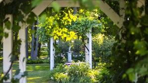 Een tuin met een witte pergola en een bank.