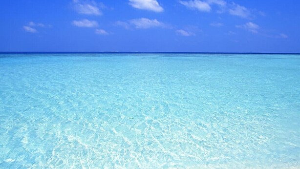 A clear blue sea under a bright sky. - Wake up over the Atlantic | Private beach access, pool & gym (Hollywood)