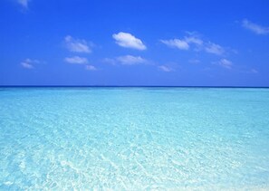 A clear blue sea under a bright sky. - Wake up over the Atlantic | Private beach access, pool & gym (Hollywood)