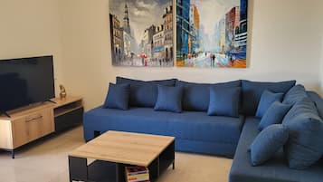 Älytelevisio, kirjoja