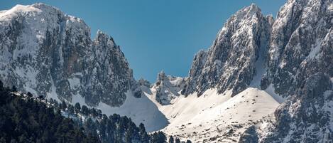 A mountainous landscape with snow-covered peaks and dense forest at the base.
