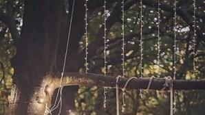 A woman in a dress sitting on a swing in a forested area with string lights and flowers.