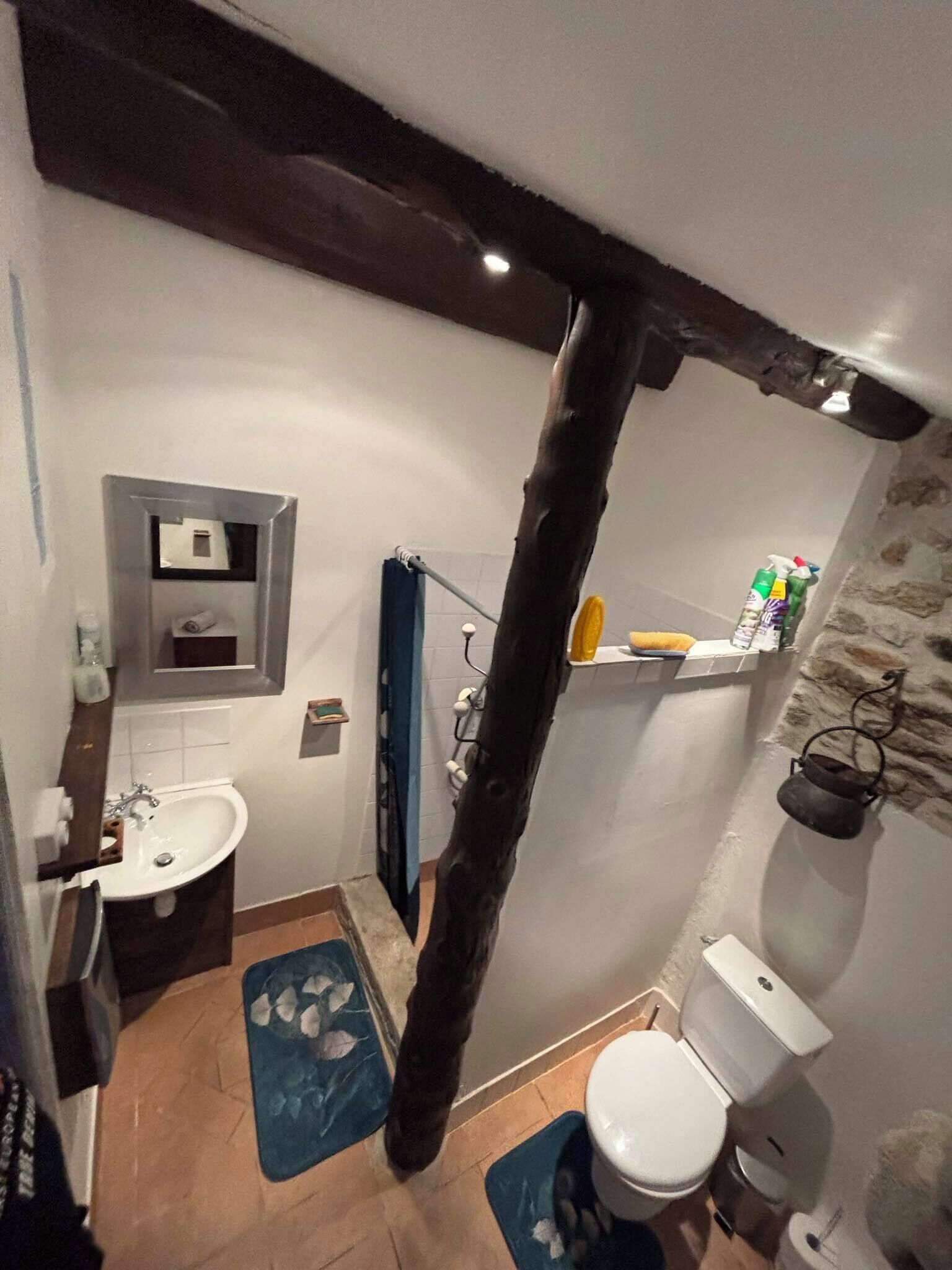 Un baño con un lavamanos blanco, un espejo y un inodoro. Hay una alfombra azul en el suelo, una toalla colgada en la pared y un estante con artículos de aseo.