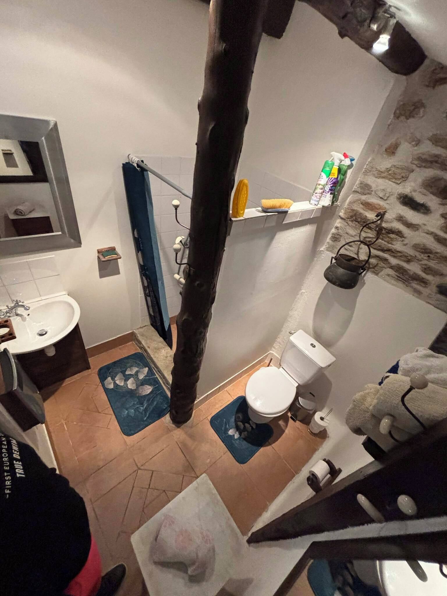 Un bagno con toilette, lavabo e zona doccia. Ci sono due tappetini blu sul pavimento, un porta asciugamani e uno scaffale con articoli da toilette.