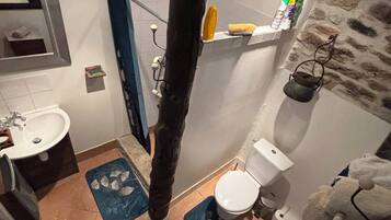Un bagno con toilette, lavabo e zona doccia. Ci sono due tappetini blu sul pavimento, un porta asciugamani e uno scaffale con articoli da toilette.