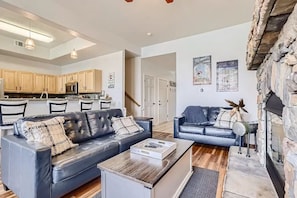 Smart TV, fireplace, books