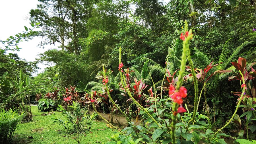 La Marta Refugio de Vida Silvestre