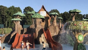 Ein Wasserpark mit Rutschen und einer großen Baumskulptur.