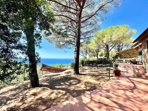 Property grounds - Villa Piemonte, beautiful sea view (Castiglione della Pescaia)