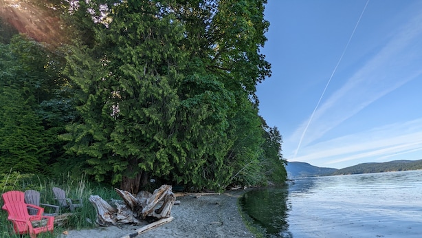 A sandy beach with red Adirondack chairs and driftwood, surrounded by dense green trees and a calm lake. - Comfortable one bedroom by the ocean (Cowichan Bay)