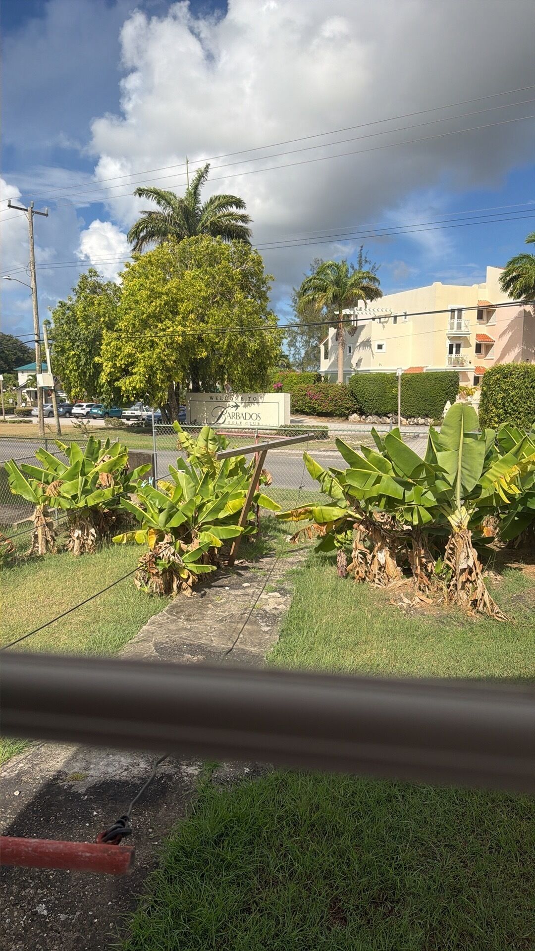 Vista de una zona residencial con un cartel de club de golf, palmeras y un edificio con balcón.