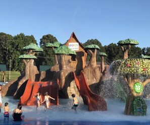 Explore a forest-like setting with a central slide and water features, including a fountain, amidst natural rock formations and trees.