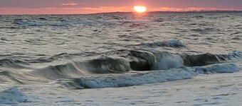 Pet Friendly 1 story unit, king bed, stocked kitchen in City of Mexico Beach