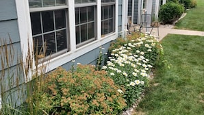 A residential building with a front porch, a window with blinds, and a garden with flowers and shrubs. - Spacious Downtown, First Floor, Patio, sleeps up to 6, Short Walk to Everything! (Traverse City)