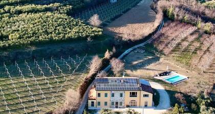 La Contea Lounge - Farmhouse with pool surrounded by nature, among woods and olive groves