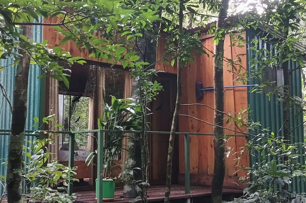 The Green Tree Lodge
