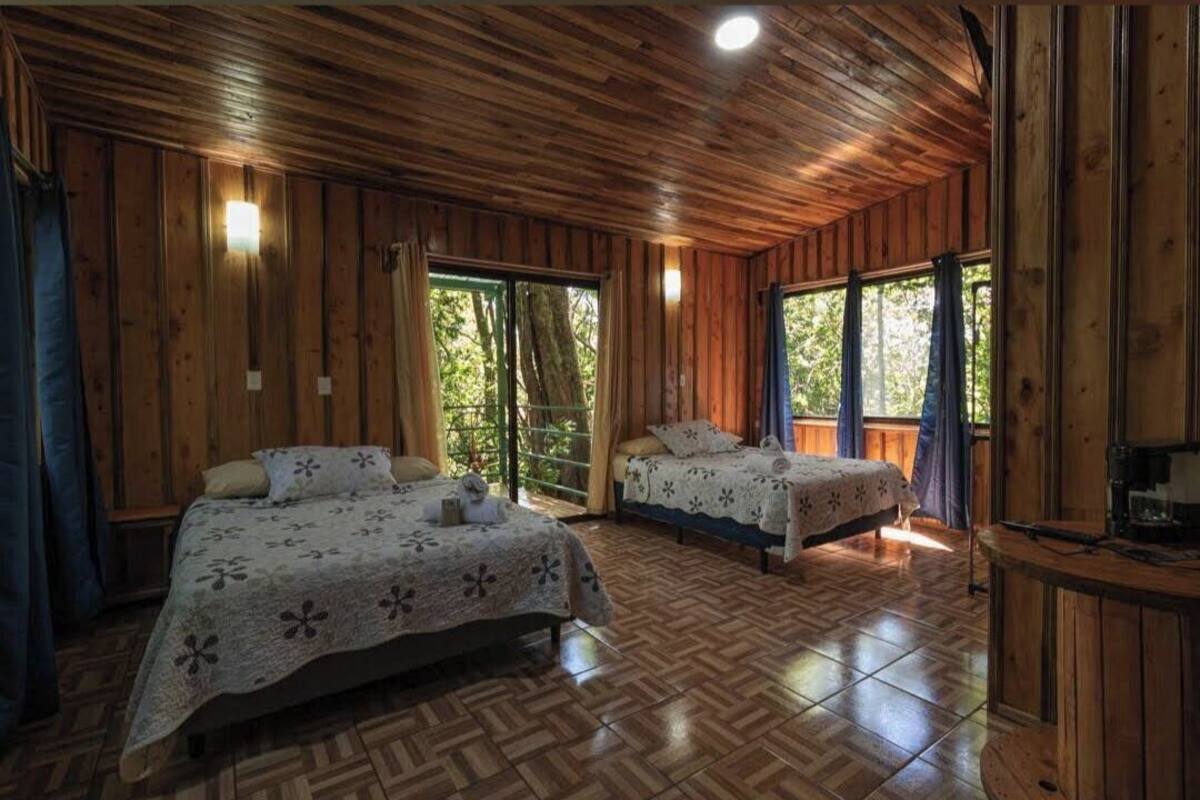 A cabin with two beds, wooden walls, and large windows.