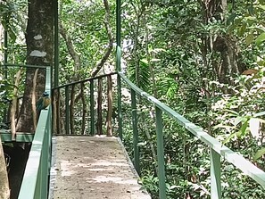 A metal staircase surrounded by dense greenery.