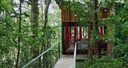 The Green Tree Lodge