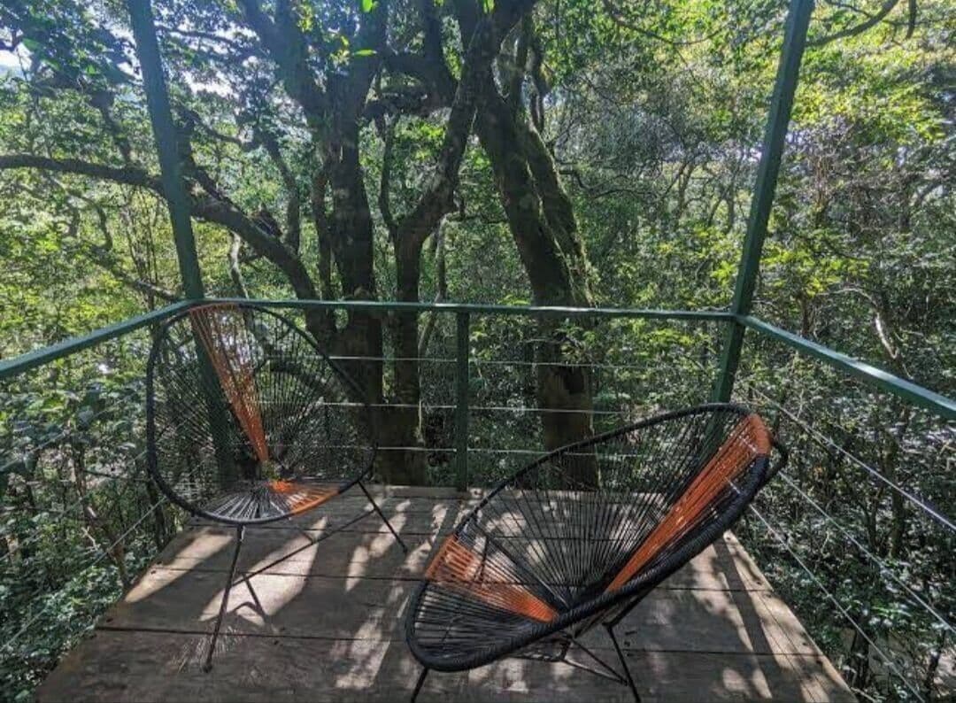 Quarto quádruplo standard | Vista da sacada