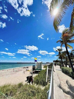 Beach - “The Palms” Tropical Oasis|Beach|Scuba|Downtown (West Palm Beach)